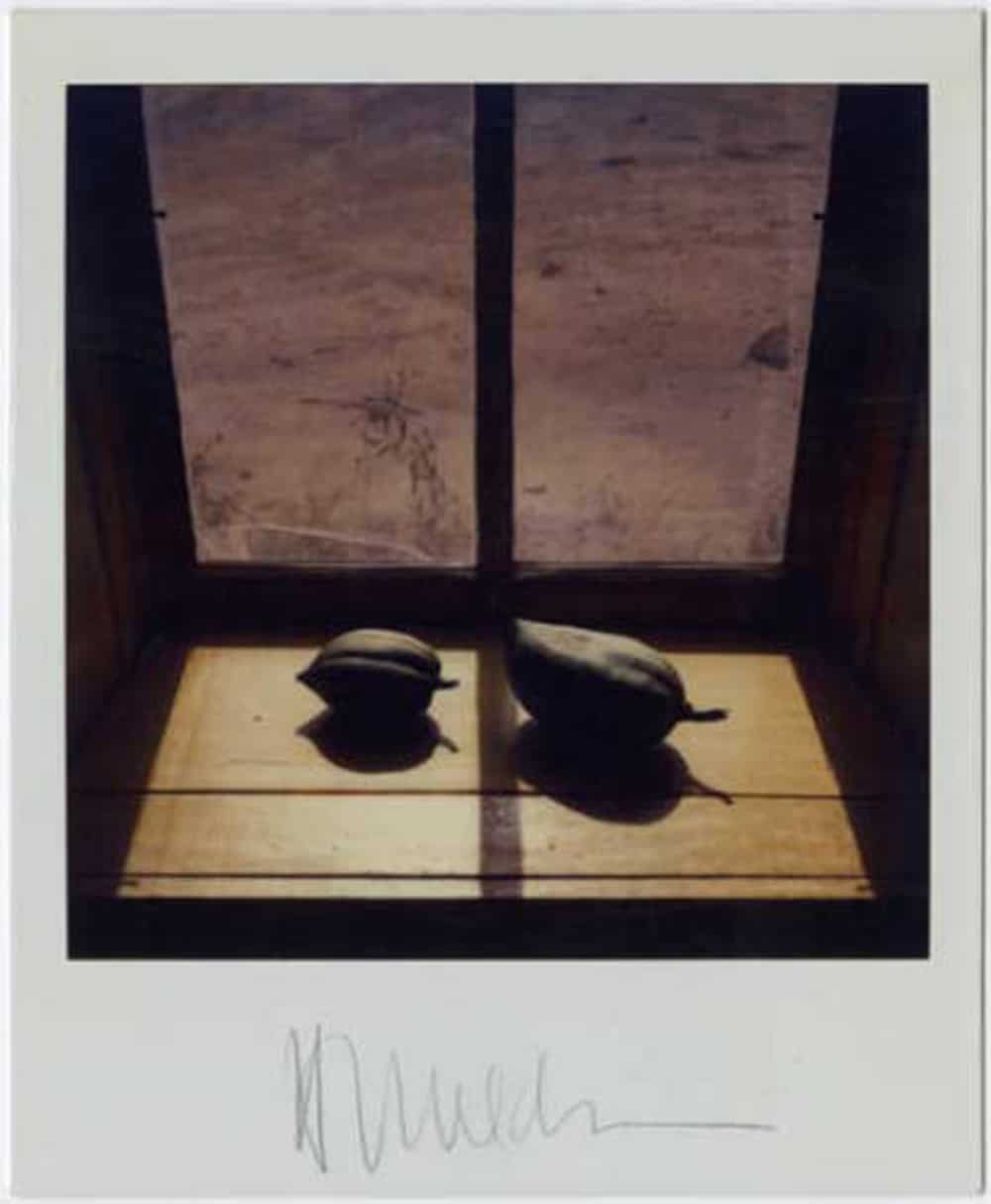 Polaroid by Harold Joe Waldrum: pods in the windowsill at the Joseph Sharp Studio in Taos NM